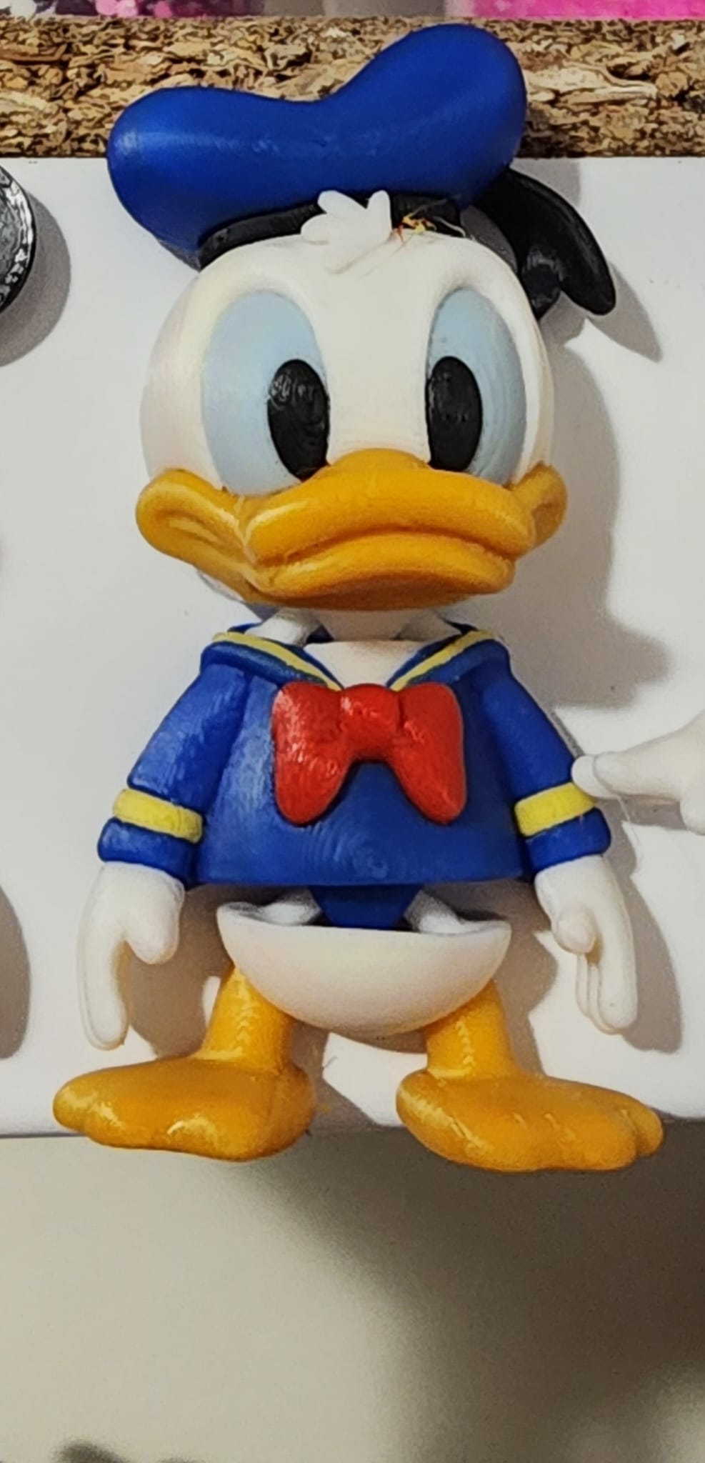 (image for) Boy Duck